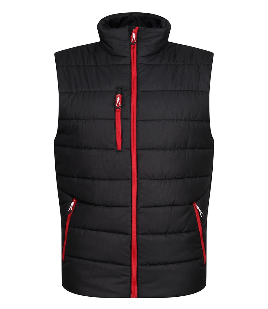 Regatta | Mens Navigate Thermal Bodywarmer Regatta