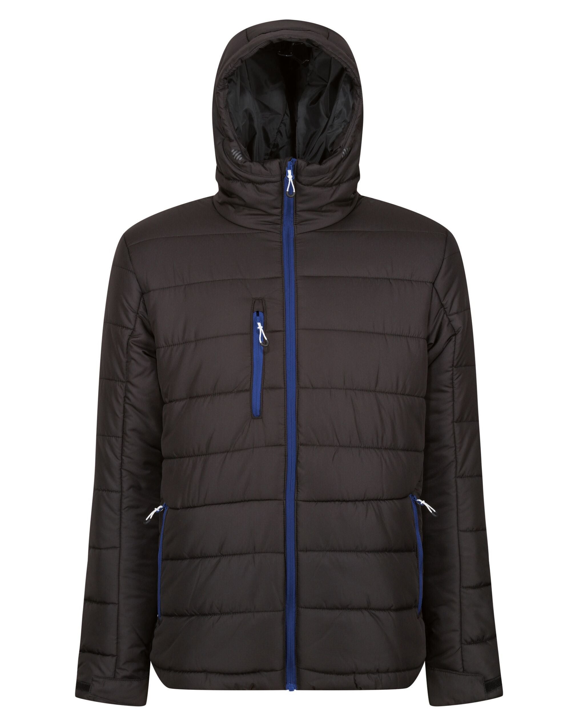 Regatta | Men's Navigate Thermal Jacket Regatta
