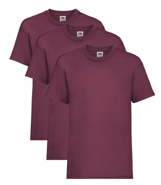 Fruit of the Loom Kid's T-Shirt, Purple, 3-4 to 14-15 Years, (Pack of 3) FRUIT OF THE LOOM (7279887302174803718)